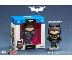 Hot Toys Cosbi DC Dark Knight Trilogy Catwoman