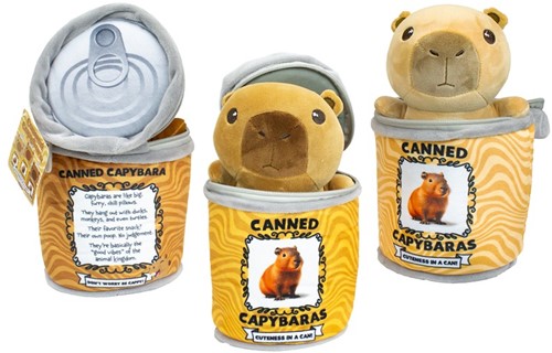 Plush Capybara 16.5cm in Plush Can 13x18cm 3 assorted
