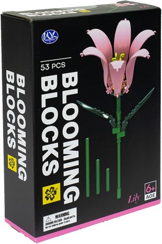 Blooming Blocks 12,5x18cm 6 surtidos in display (6)-3