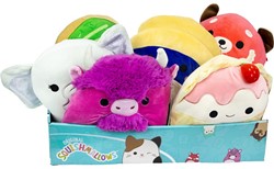 Squishmallows Peluche 6 surtidos 19cm in display (6)