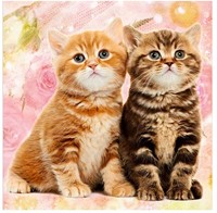 Diamond Painting canvas 30x30cm 8 assorti-2