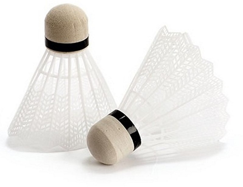 PRO SPORTS Badmintonset met 2 shuttles in tas 22x67cm